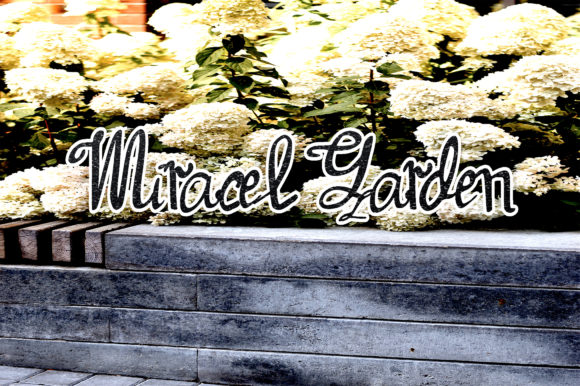 Miracel Garden: A Handwritten Typeface for Elegant Editorial Design