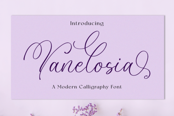 Vanelosia: A Script Amp Typeface for Elegant Campaign Design