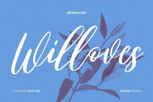 Willoves: The Elegant Script Typeface for Handmade Branding